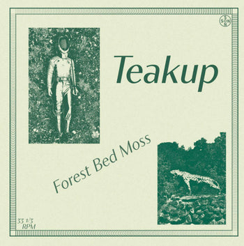Forest Bed Moss - Teakup