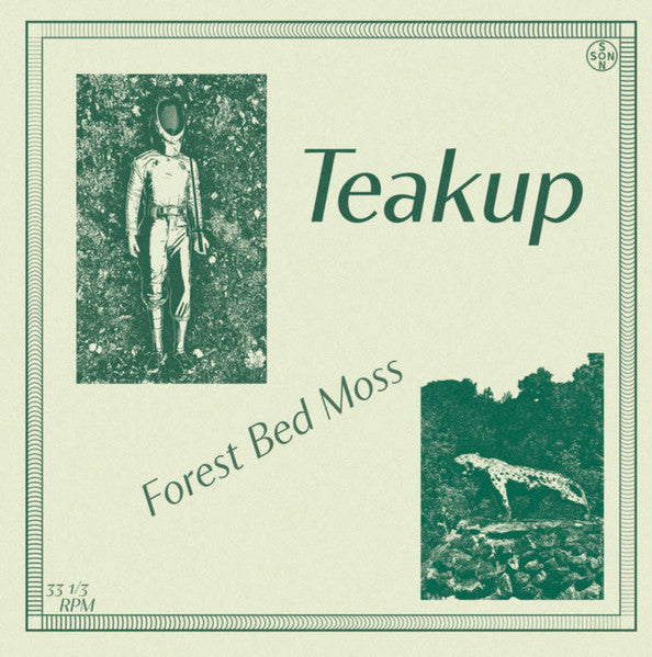 Forest Bed Moss - Teakup