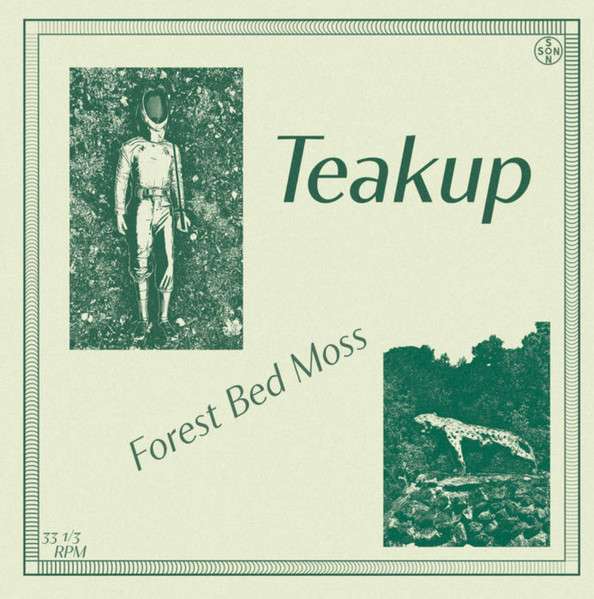 Forest Bed Moss - Teakup