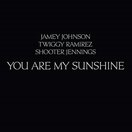 You Are My Sunshine - Jamey Johnson