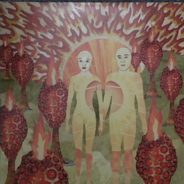 The Sunlandic Twins - Of Montreal