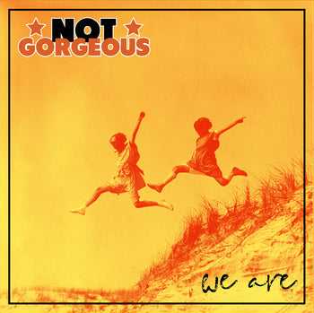 We Are - Not Gorgeous