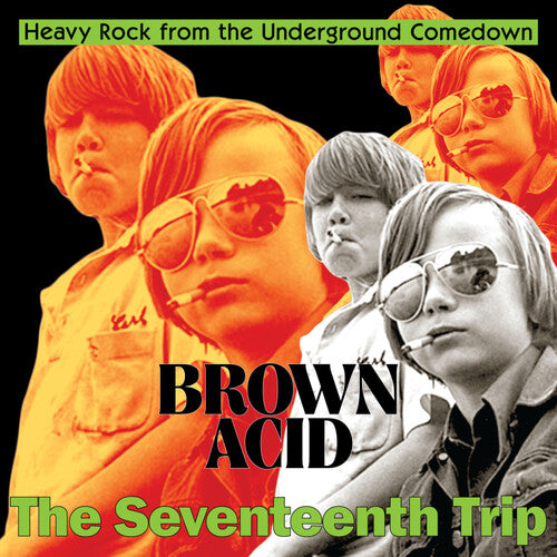 Brown Acid - The Seventeenth Trip (Various Artists - Various Artists