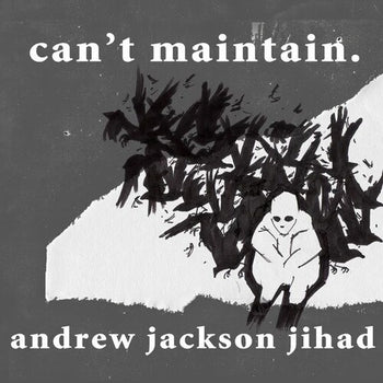 Can't Maintain - Andrew Jackson Jihad,