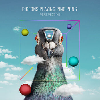 Perspective - Pigeons Playing Ping Pong
