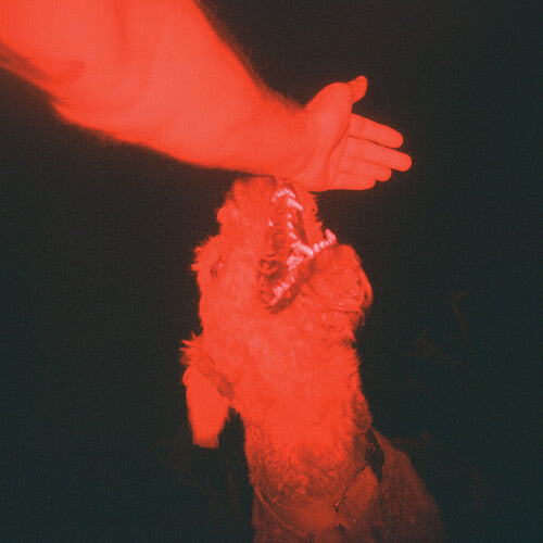 A Trick of the Light - Winter, Eli