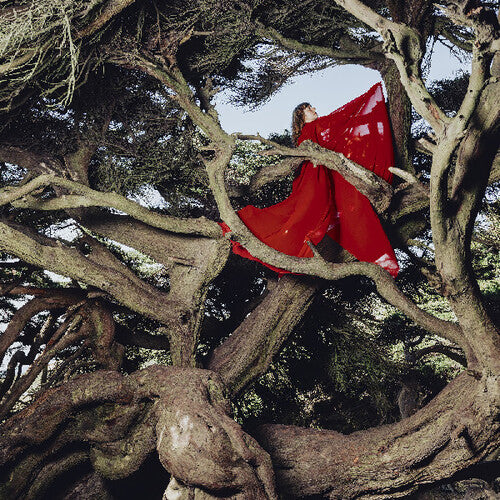 Nested In Tangles - Frances, Hannah
