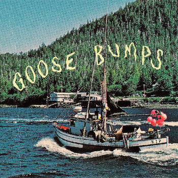 Goose Bumps - Boyscott