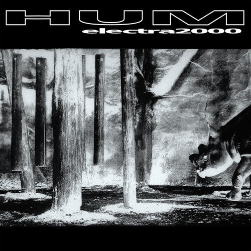 Electra 2000 - Hum