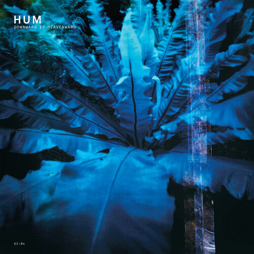 Downward Is Heavenward - Hum