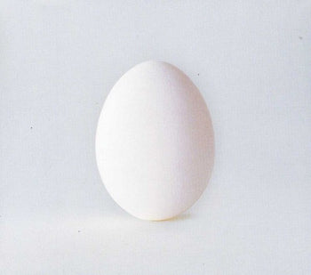 the album cover for Wilco - A Ghost Is Born