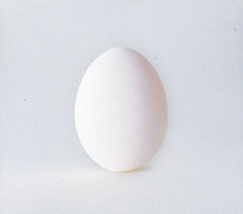 the album cover for Wilco - A Ghost Is Born