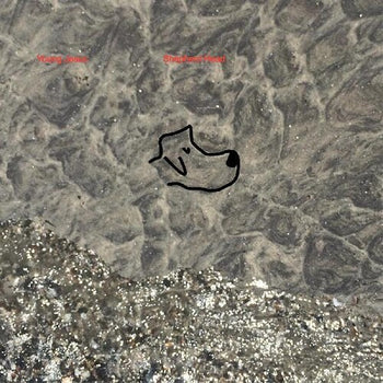 Shepherd Head - Young Jesus