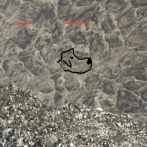 Shepherd Head - Young Jesus