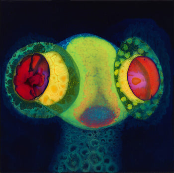 Sorcs 80 - Osees
