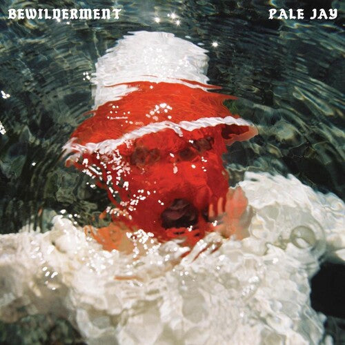 Bewilderment - Pale Jay