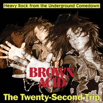 Brown Acid - The Twenty-Second Trip - Various Artists