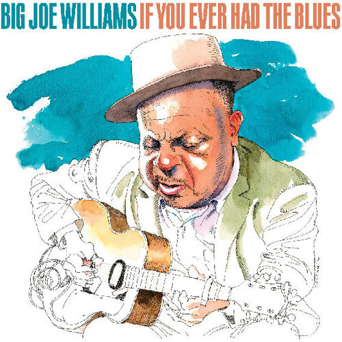 If You Ever Had The Blues - Williams, Big Joe