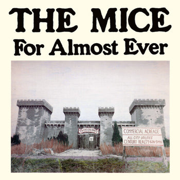 For Almost Ever - Mice