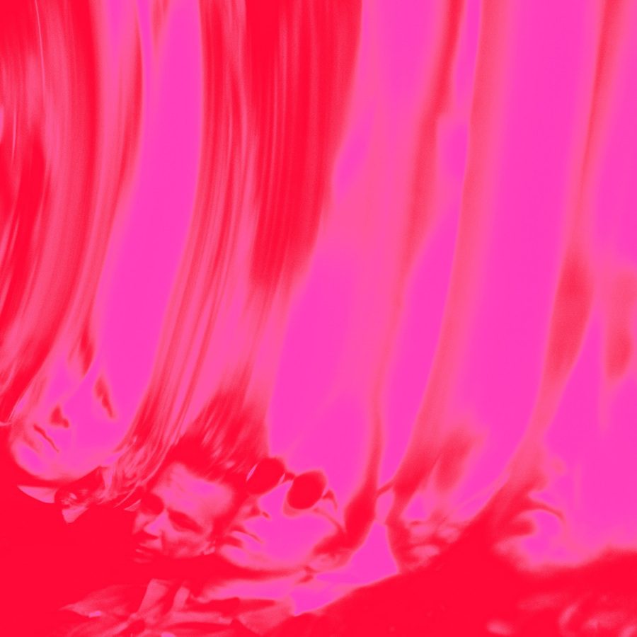 Love Fuzz - Segall, Ty
