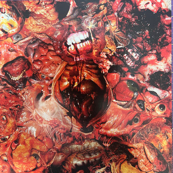 From Demo To Rot - FesterDecay