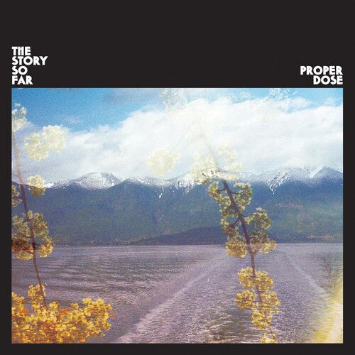 Proper Dose - Story So Far, The