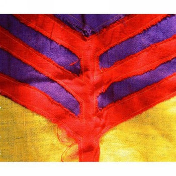 the album cover for Yeah Yeah Yeahs - Show Your Bones