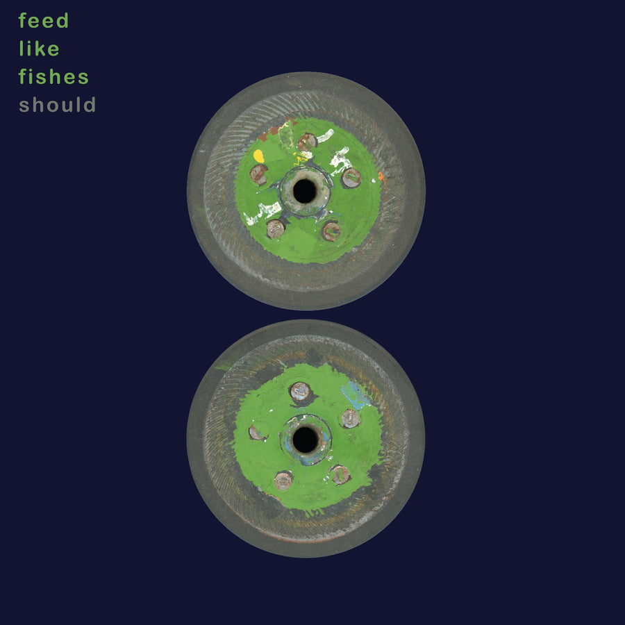Feed Like Fishes - Should