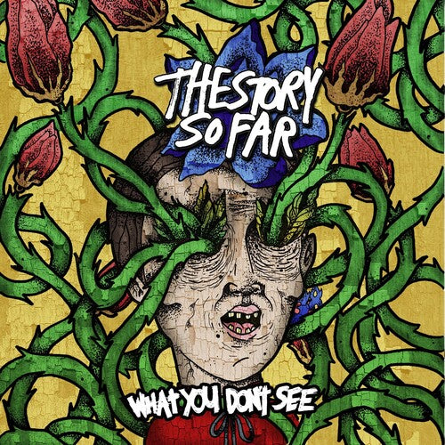 What You Don'T See - Story So Far, The