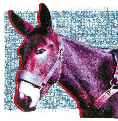 Ultimate Success Today - Protomartyr