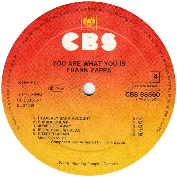 You Are What You Is - Zappa, Frank
