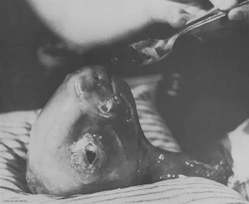 Eraserhead Original Soundtrack - Lynch, David