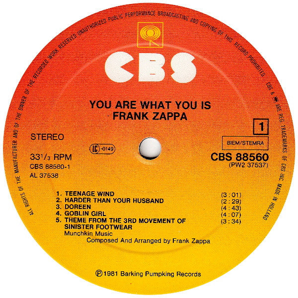 You Are What You Is - Zappa, Frank