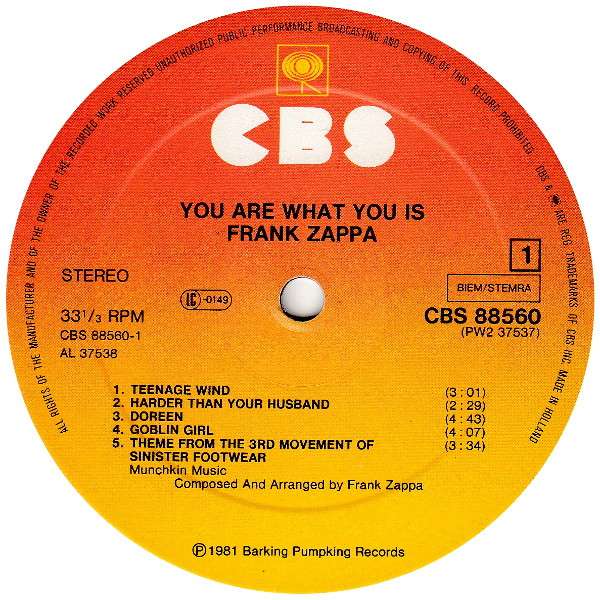 You Are What You Is - Zappa, Frank
