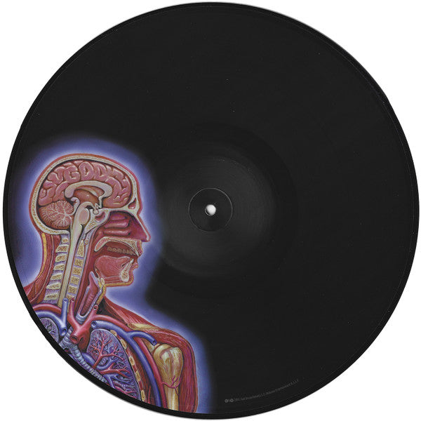Lateralus - Tool