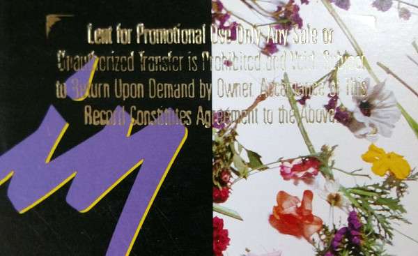 Purple Rain - Prince And The Revolution