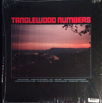 Tanglewood Numbers - Silver Jews