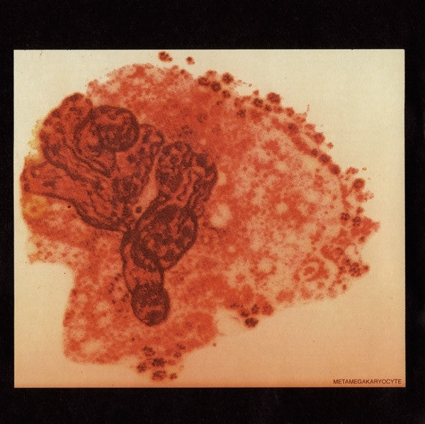 White Blood Cells - White Stripes