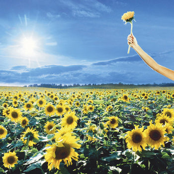 Thank You - Stone Temple Pilots