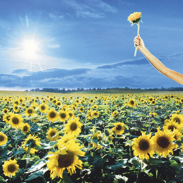 Thank You - Stone Temple Pilots