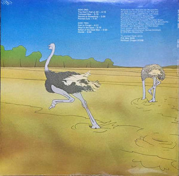 Head In The Sand - Sand