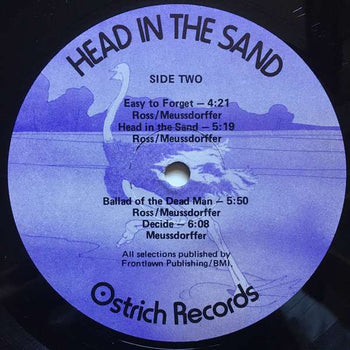 Head In The Sand - Sand