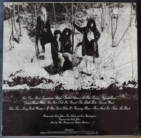 Long Cold Winter - Cinderella