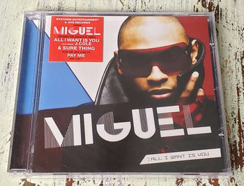All I Want Is You - Miguel