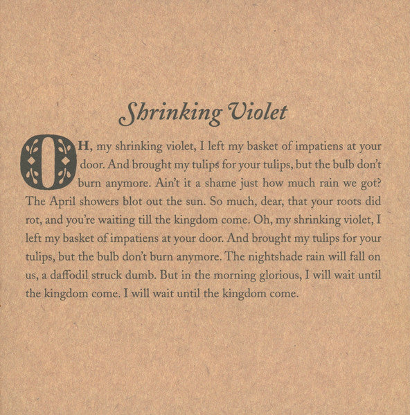 The Broken String - Bishop Allen