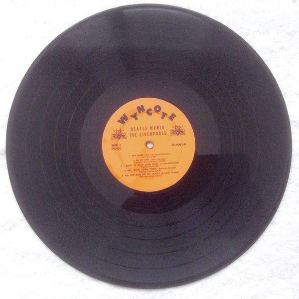 Beatle Mania! In The Usa - Liverpools, The