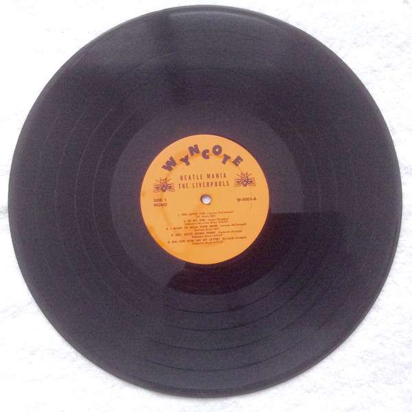 Beatle Mania! In The Usa - Liverpools, The