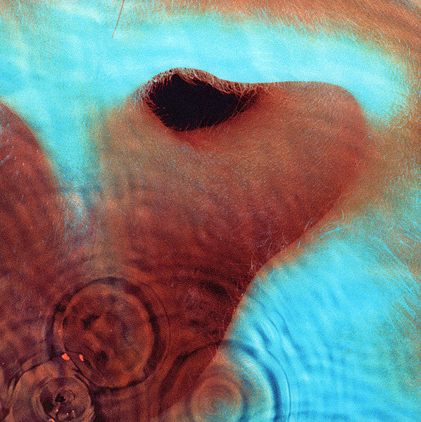 Meddle [Vinyl] - Pink Floyd