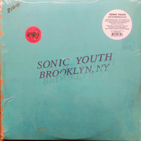 Live In Brooklyn 2011 - Sonic Youth