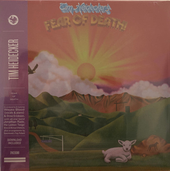 Fear Of Death - Heidecker, Tim